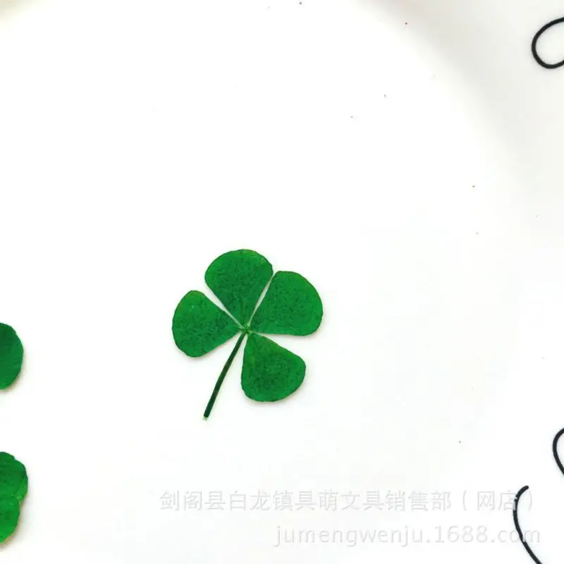 12Pcs Lucky Dried Leaf Clover  - Resin Art Baby ulasan dan harga